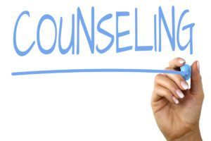 UHS School Counseling Website